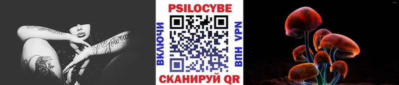 хочу наркоту  Полысаево  Псилоцибиновые грибы Magic Shrooms 