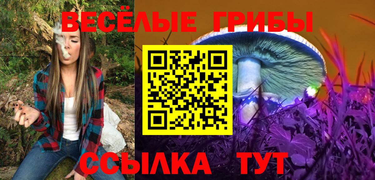 Полысаево  Псилоцибиновые грибы Psilocybine cubensis  Вход с VPN 